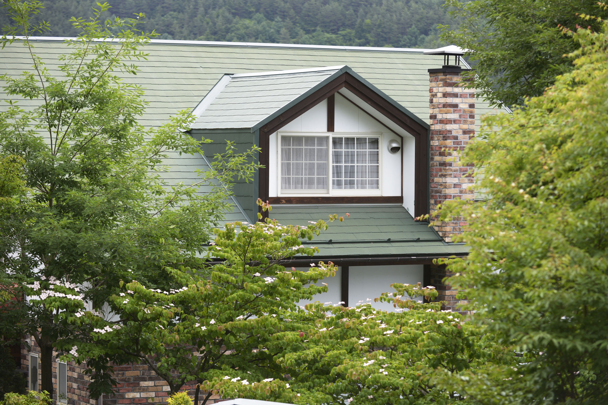 Kawaguchiko Country Cottage Ban Fujikawaguchiko Exterior photo